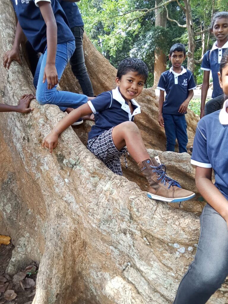 relaxing on the tree